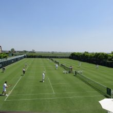 国内初開催！ROAD TO WIMBLEDON！ | スタッフブログ