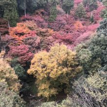 運動の秋、芸術の秋 | スタッフブログ