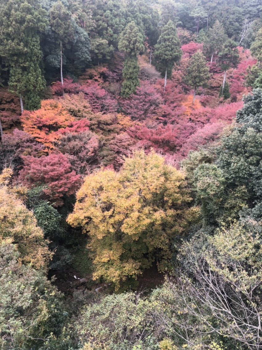 運動の秋、芸術の秋 | スタッフブログ