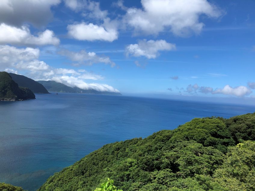 地元の奄美大島 | スタッフブログ