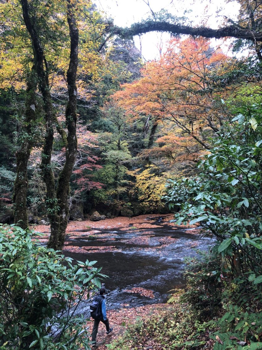 紅葉狩り | スタッフブログ