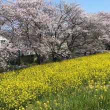 ご挨拶（東京事務所　田中涼太） | スタッフブログ