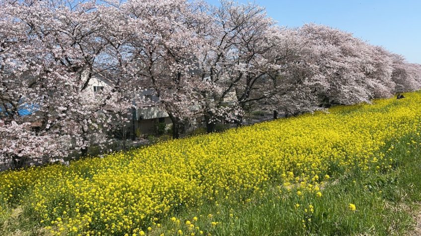 ご挨拶（東京事務所　田中涼太） | スタッフブログ