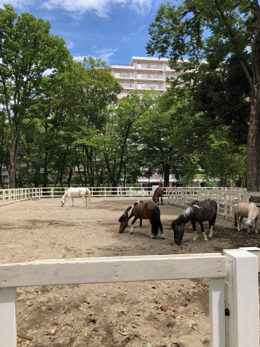 住宅街の公園の馬 | スタッフブログ
