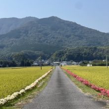 今年の秋 | スタッフブログ