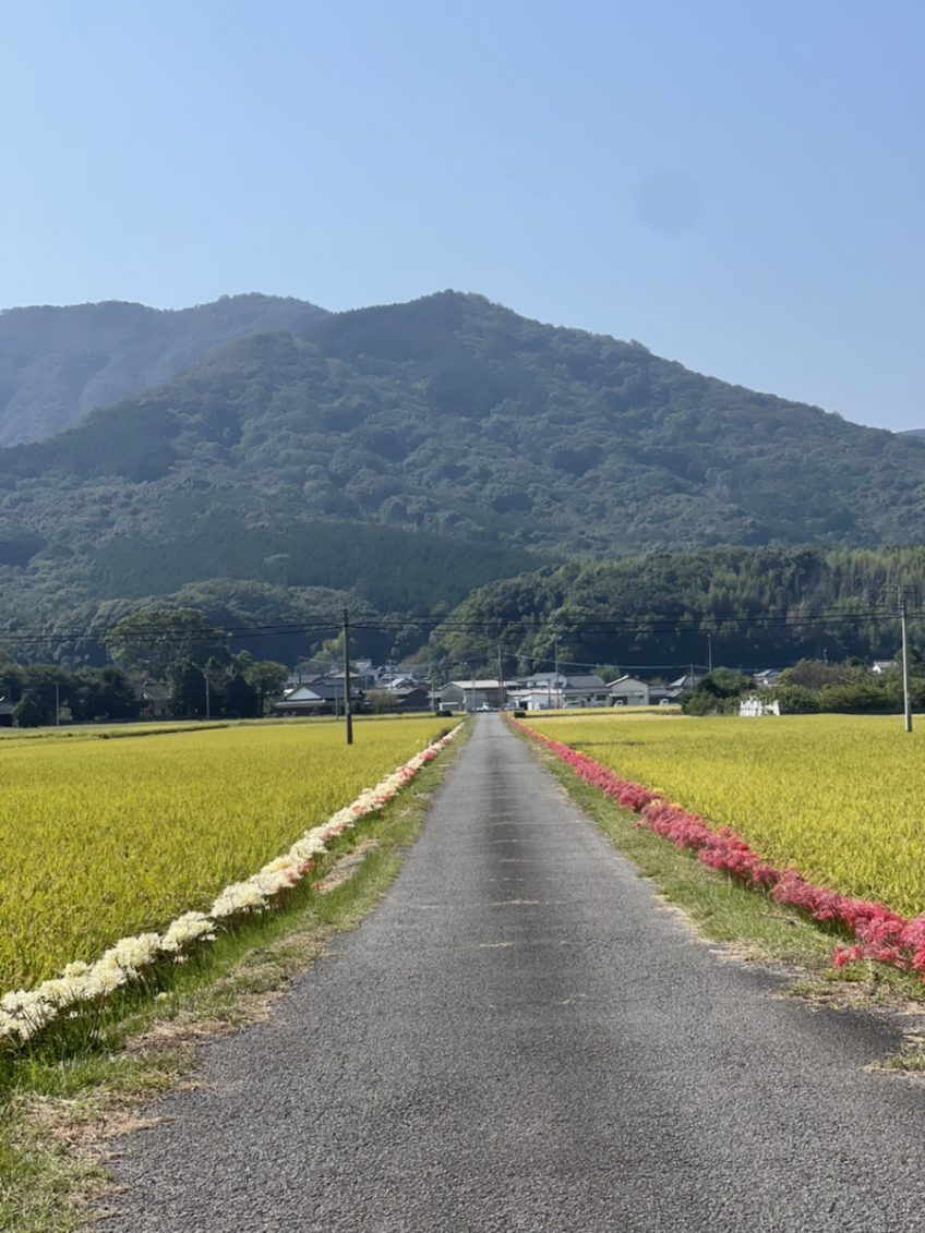 今年の秋 | スタッフブログ