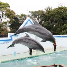 海の日 | スタッフブログ