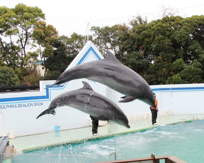 海の日 | スタッフブログ