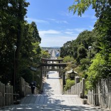 試験明けの夏休み | スタッフブログ